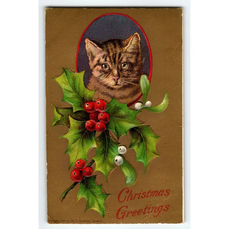 Christmas Postcard Kitten Cat Holly Leaves H I Robbins Embossed 1907 Unposted