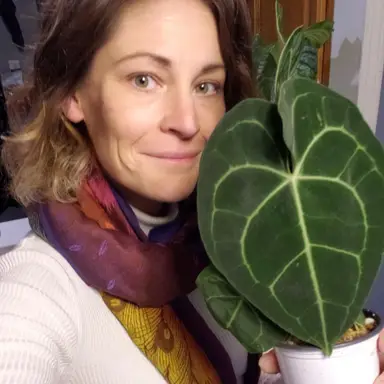 Sarah | Yaya's Plant Shop