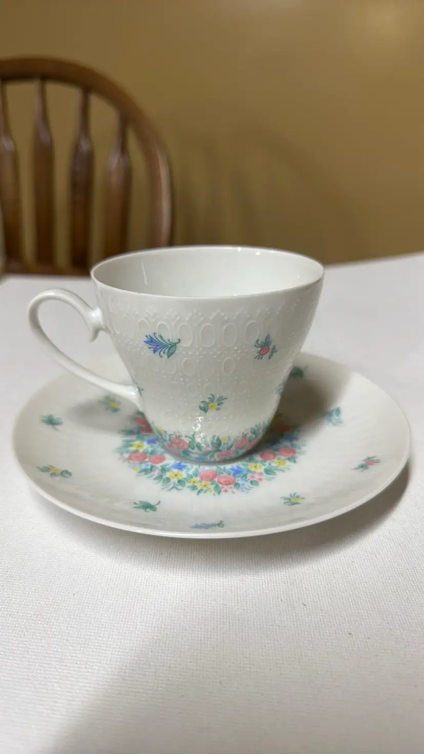 ROSENTHAL GERMANY ROMANCE Tea Cup and Saucer floral