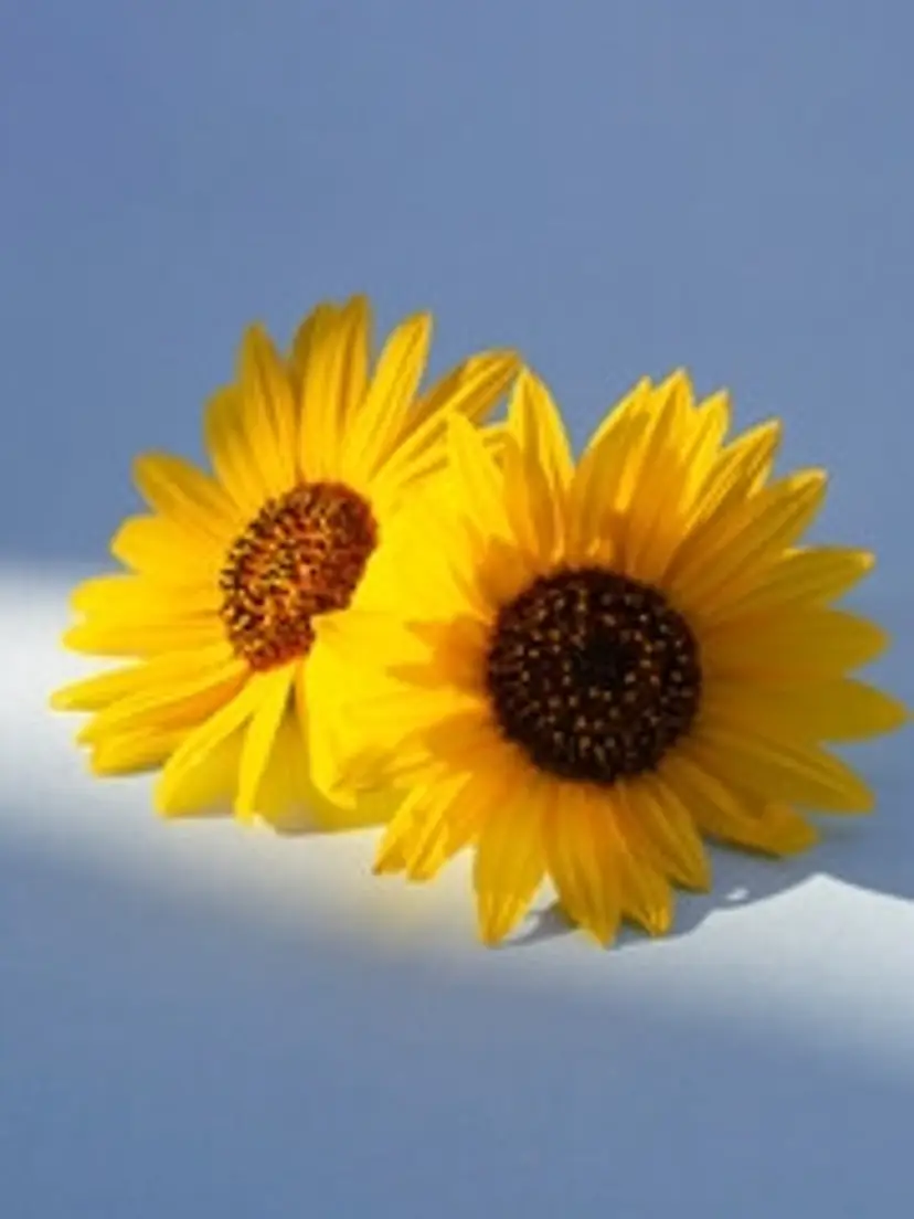 Livestream thumbnail