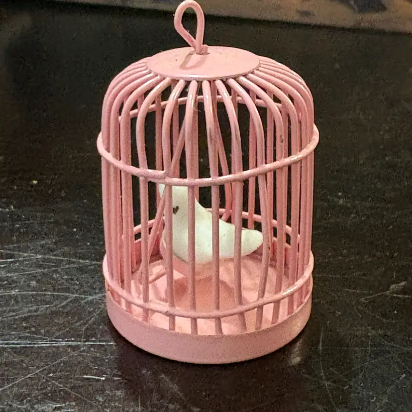 Birdcage - Pink With Bird