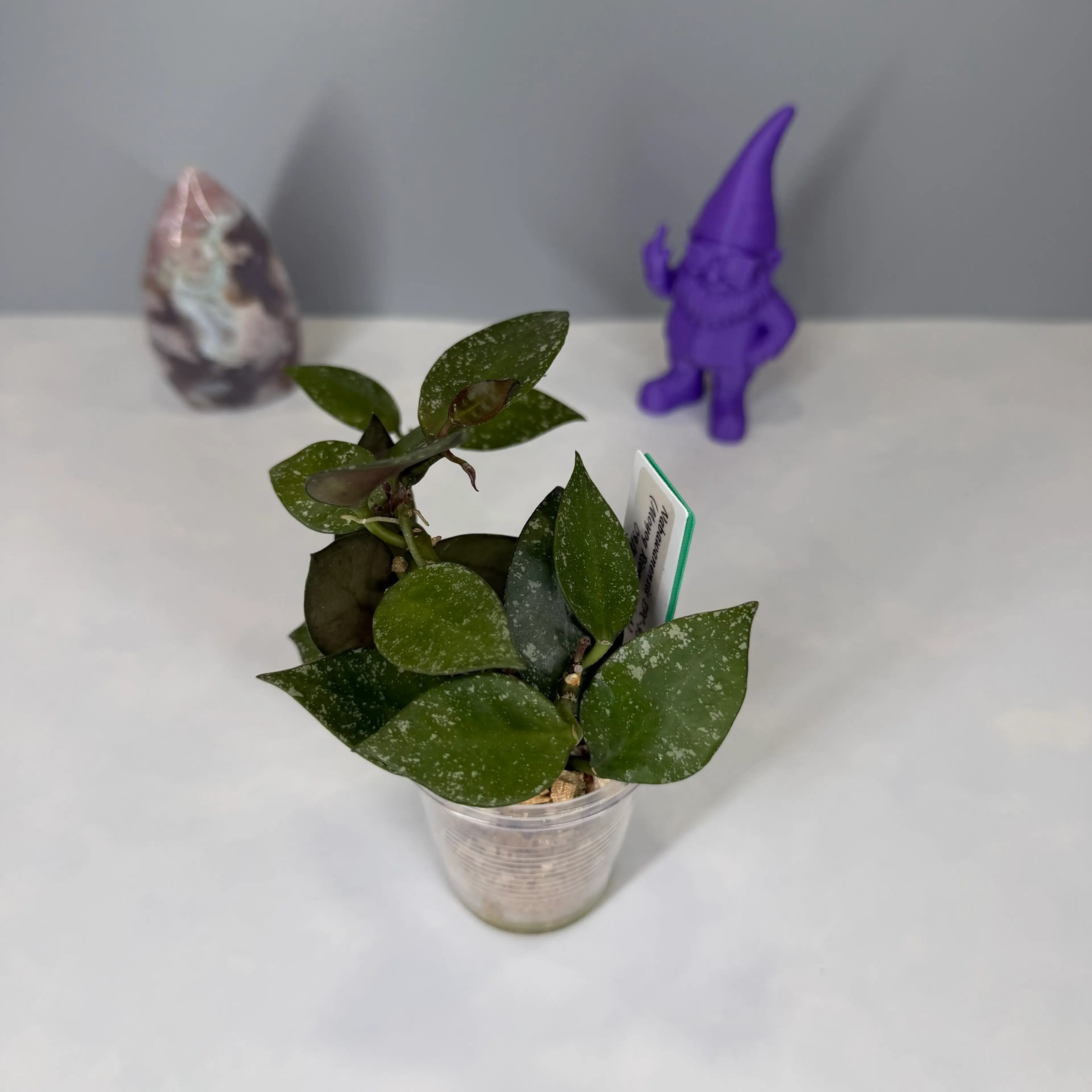 Image 2 of 4