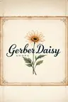 Gerber Daisy Shops