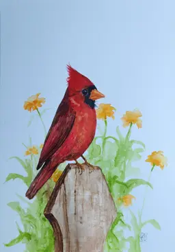 Cardinal Original Watercolor Painting Signed By The Artist 5x7 Free Shipping