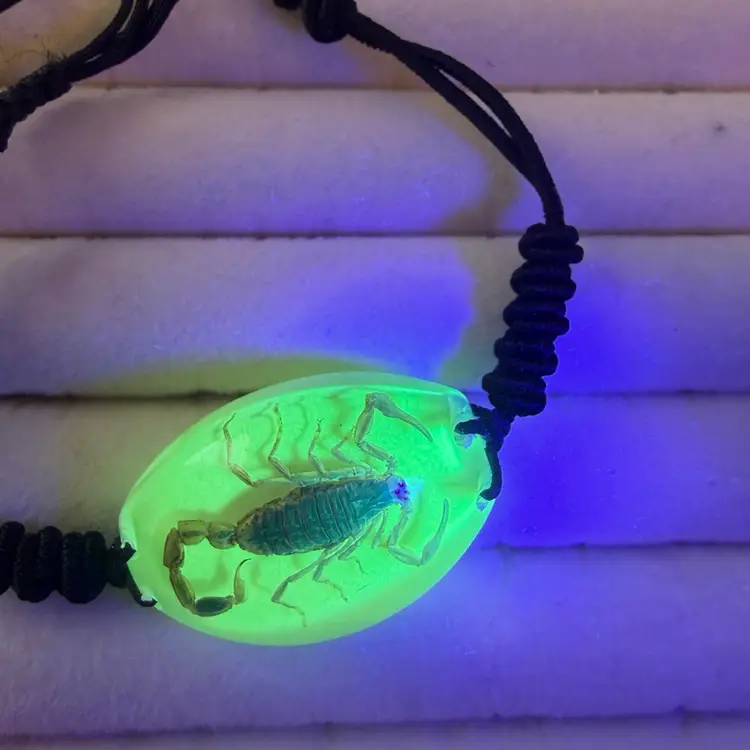 Adjustable Bug Bracelet It GLOWS