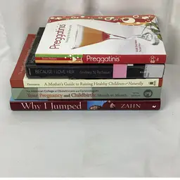 Lot Of 5 Pregnancy And Motherhood Related Books