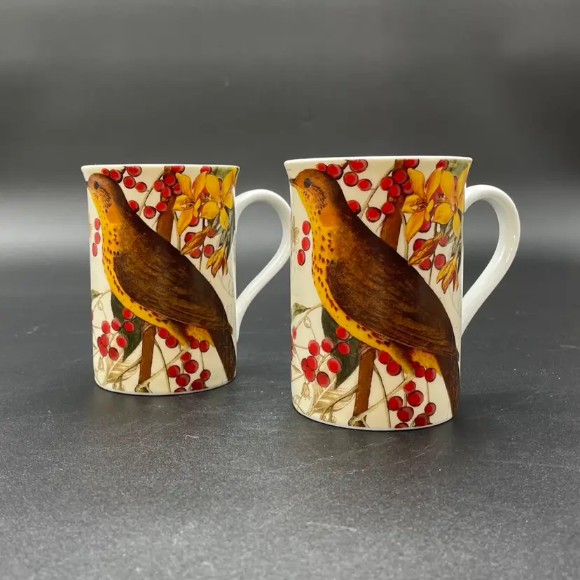 Set of 2 Konitz Linda Maron Mugs Cups Birds Butterflies Flowers Drinkware