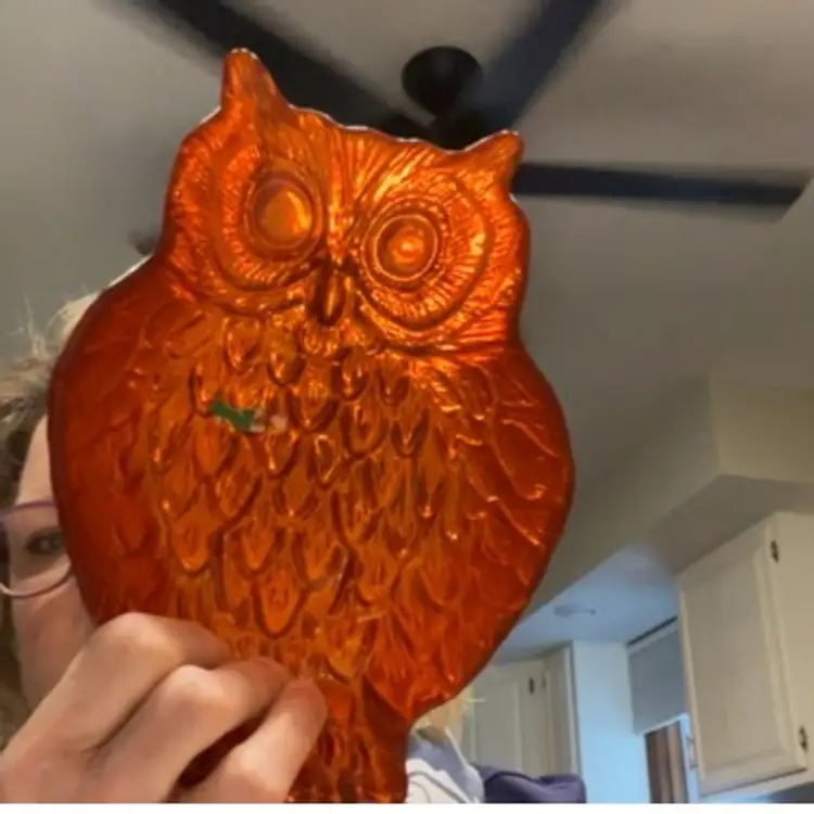 Glass Owl Dish