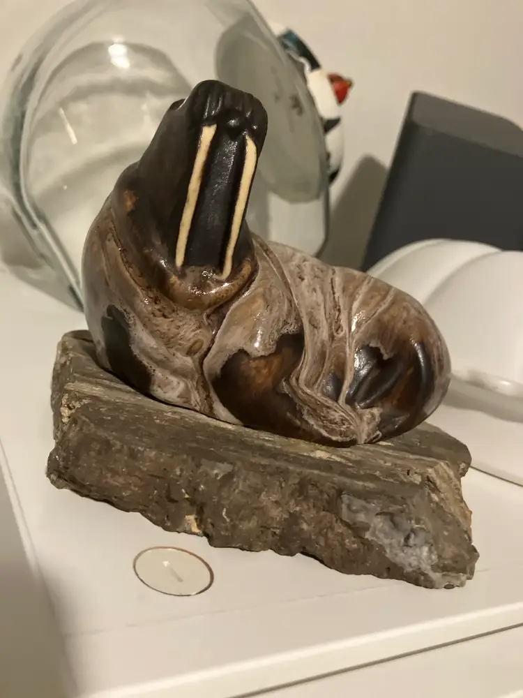 Animals, Animals Everywhere