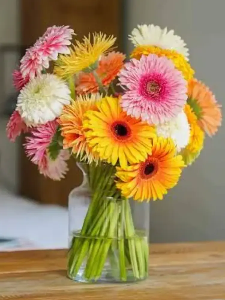 Art Glass and Miniatures