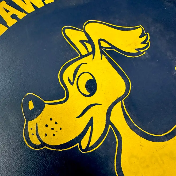 Vintage 1980s Delaware Valley Terriers Bleacher Seat Cushion DVHS Frenchtown NJ