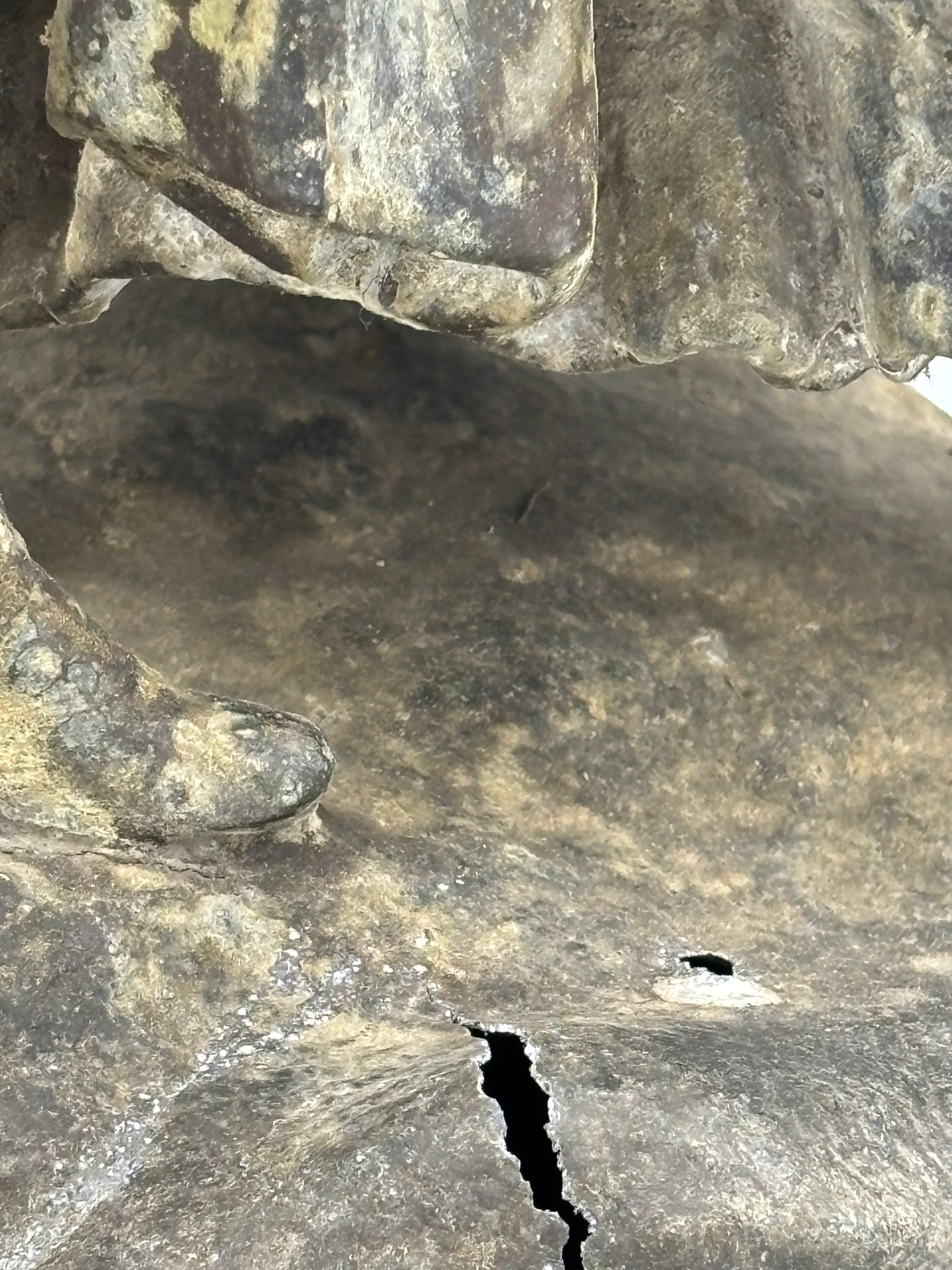 Image 2 of 7