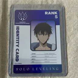 SL1E-PM04 Mapniverse Solo Leveling GO Sung Jinwoo ID Card