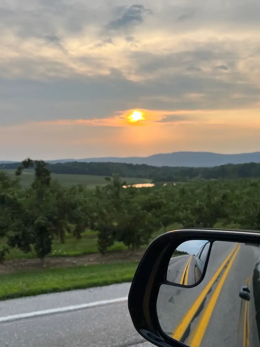 Livestream thumbnail