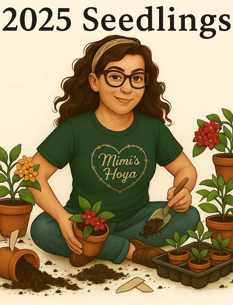 Pot,Pray, Repeat And Maybe Some For Sale 