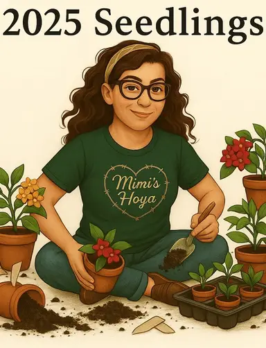 Pot,Pray, Repeat And Maybe Some For Sale