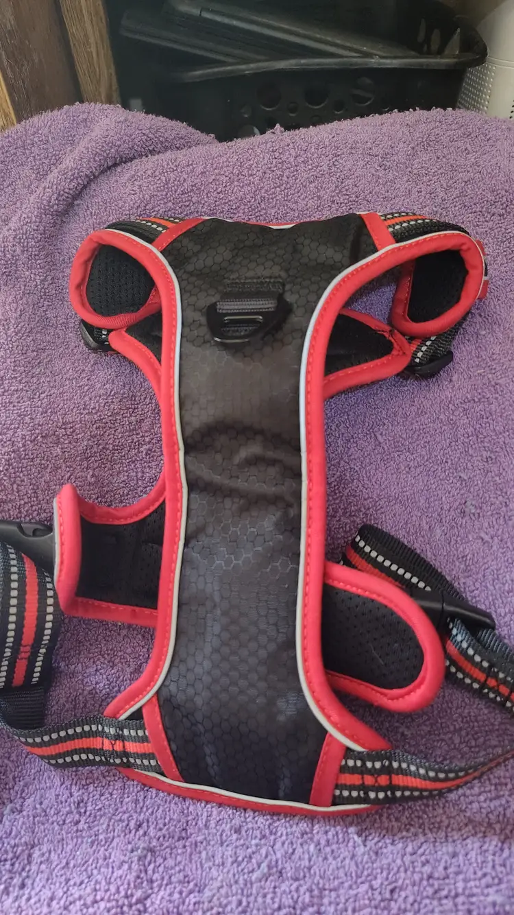 Size large red/blk dog harness