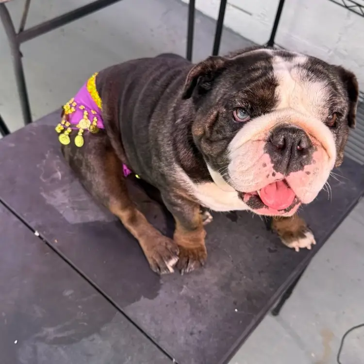 HOLD ORDER One Week 11/10  $1 Goes To Nora’s Snack Fund