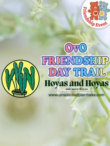 Bring A Friend And Have Fun!