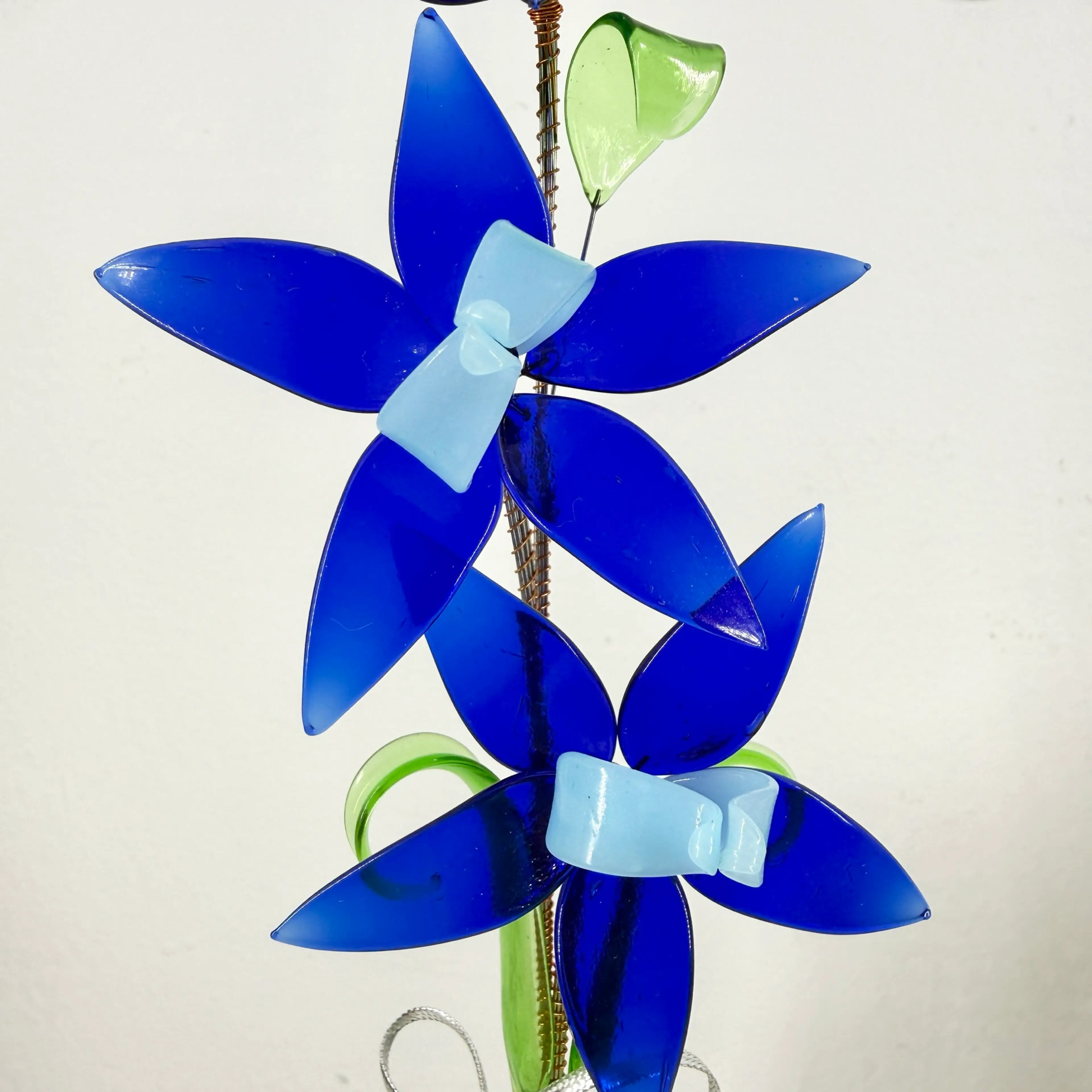 Image 4 of 5