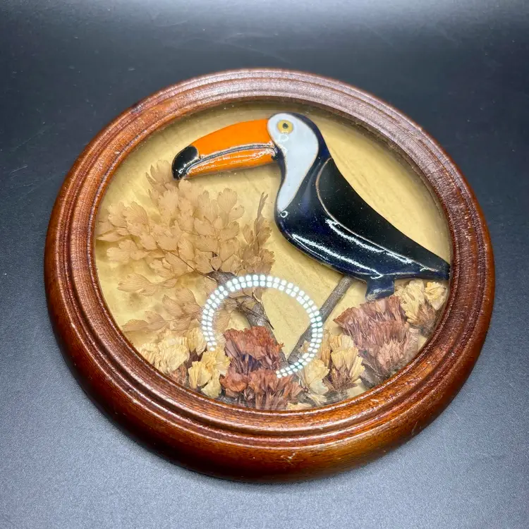 Gallery Wall Pottery Toucan and Dried Flower Wood Framed Art 5.25”