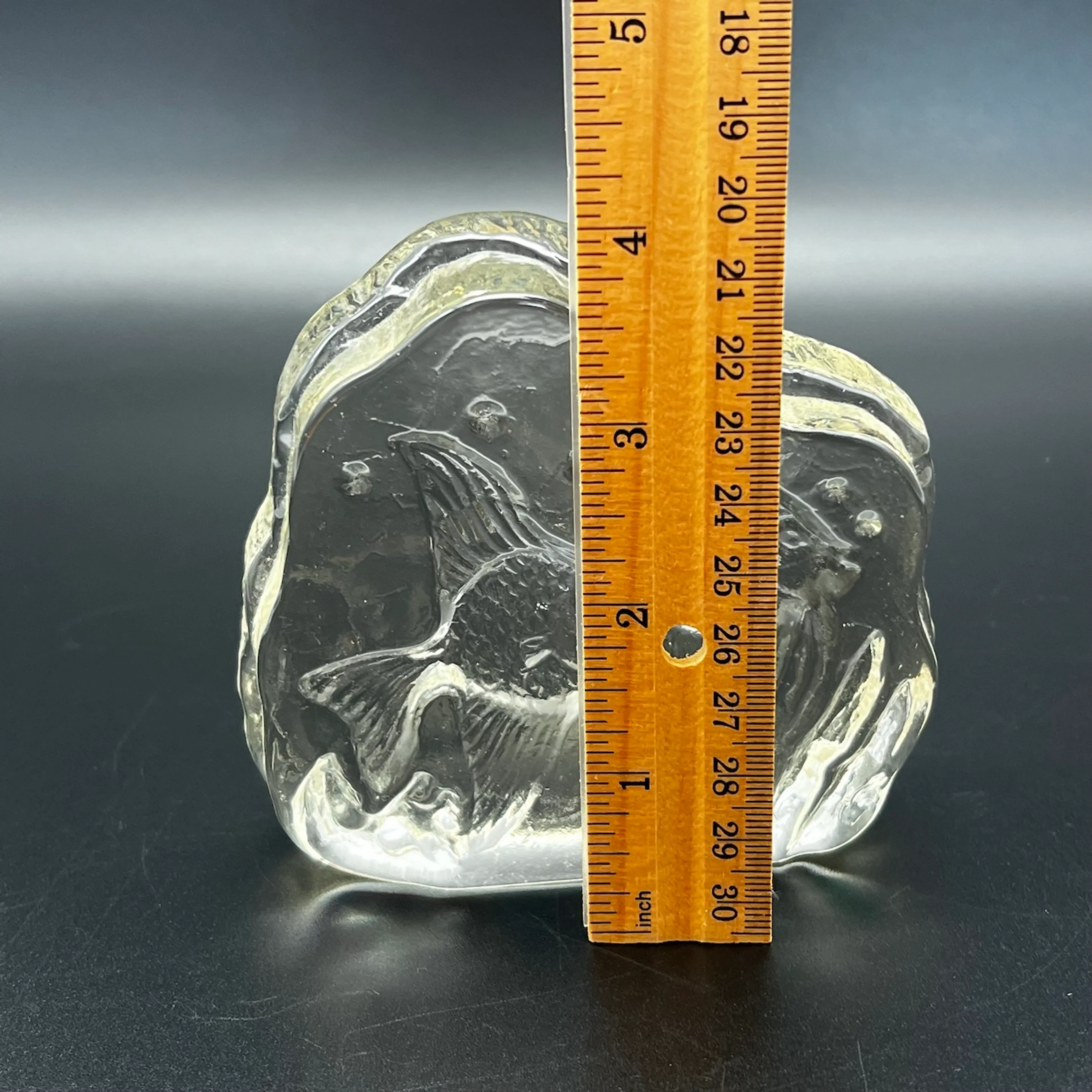 Image 5 of 6