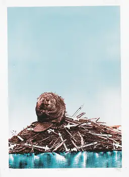 "Van City Loft" 2017