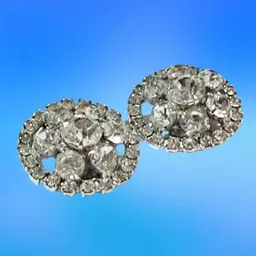 Vintage Rhinestone Flowers in a Ring of Rhinestones Silvertone Clip Earrings