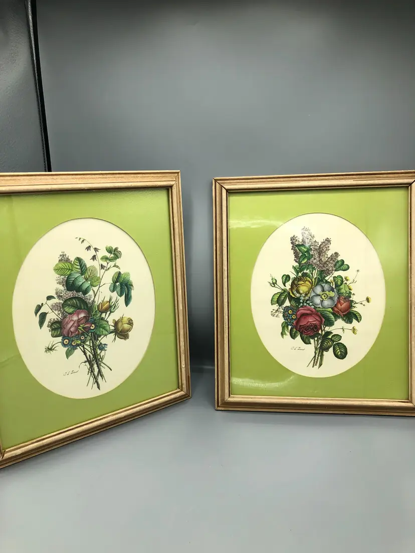 Jean Louis Provost pair of botanical prints