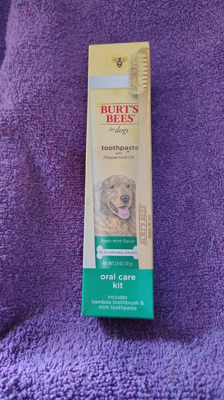 Burts bees dogs tooth brush set