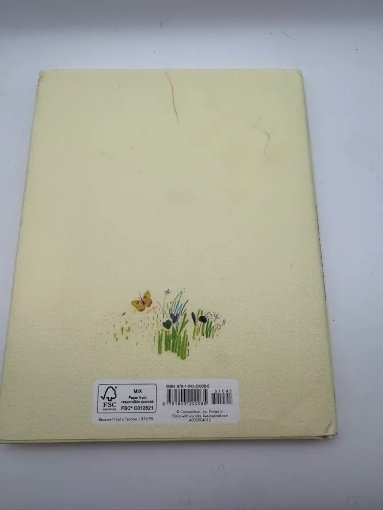 Young Reader Book ‘Because I Had A teacher’ By Kobi Yamada CR 2016