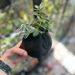 3 D Printed Cauldron 3 Inch