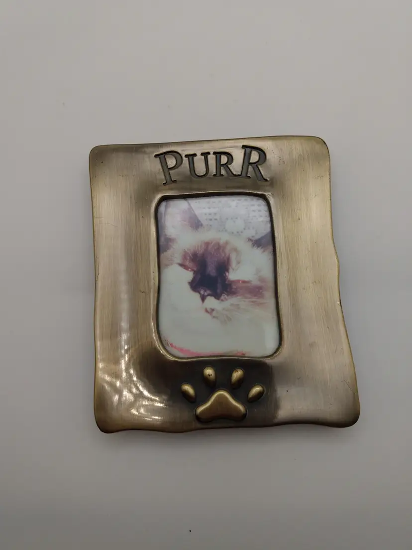 Brass Picture Frame Purr for Cat 4" x 3.5"