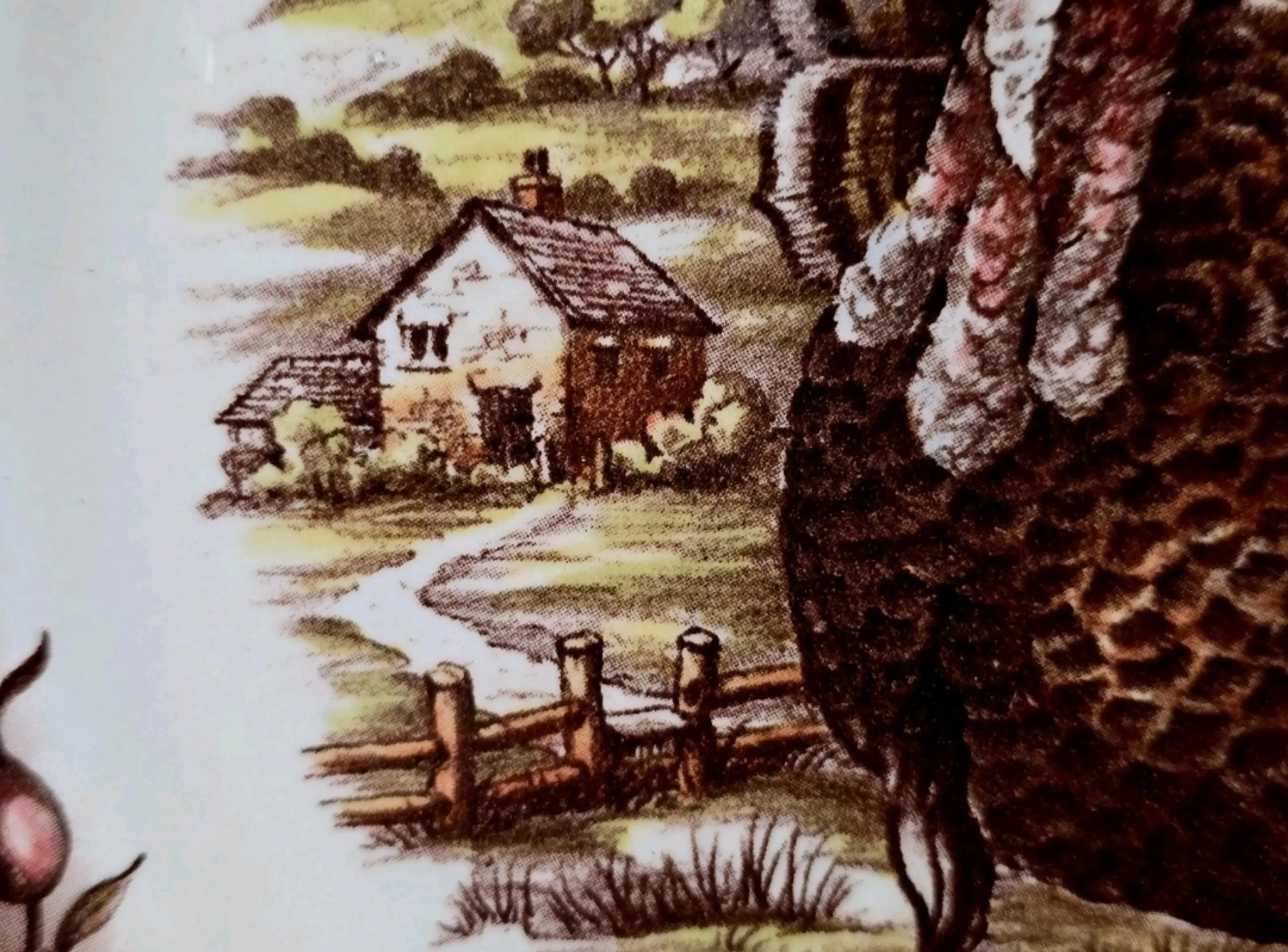 Image 5 of 24