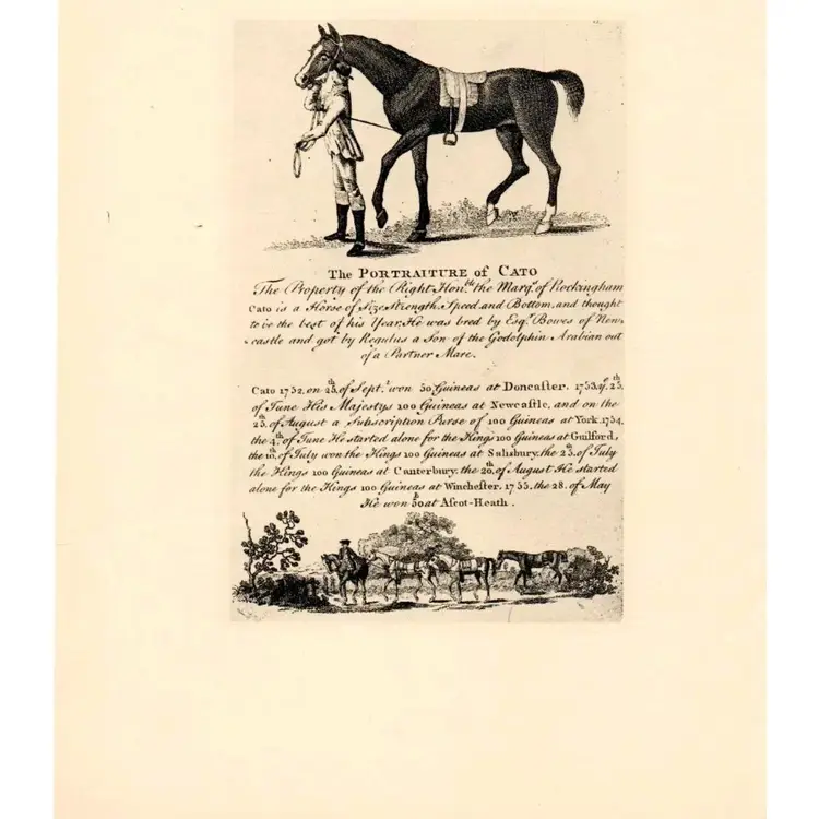 Portraits Of Celebrated Racehorses Lot of 6 Pages Cato and Spanking Roger