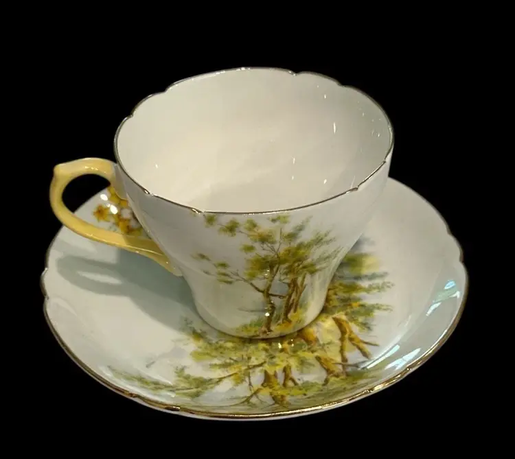 Shelley Fine Bone China "Daffodil Time" Tea Cup & Saucer Gold Scalloped Trim England