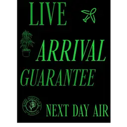 UPS OVERNIGHT SHIPPING