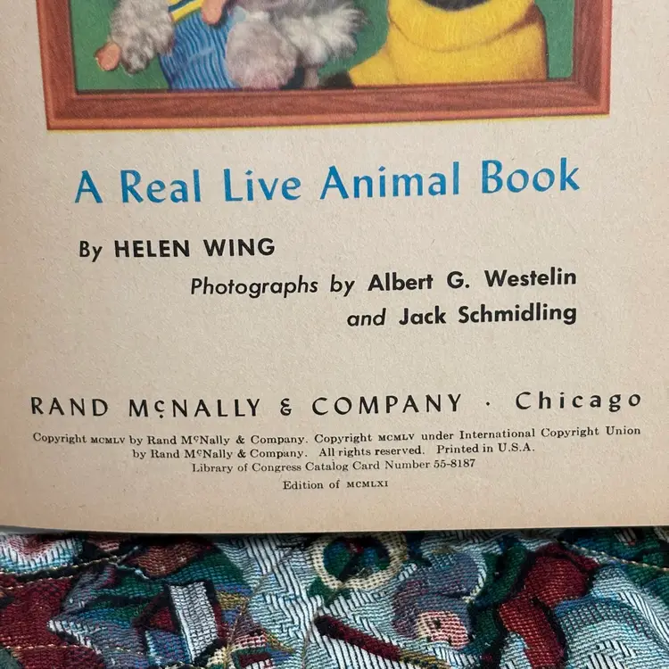 Vintage Playtime Poodles Children’s Book Rand McNally Real Poodle Pics With Beautiful Graphics 1955