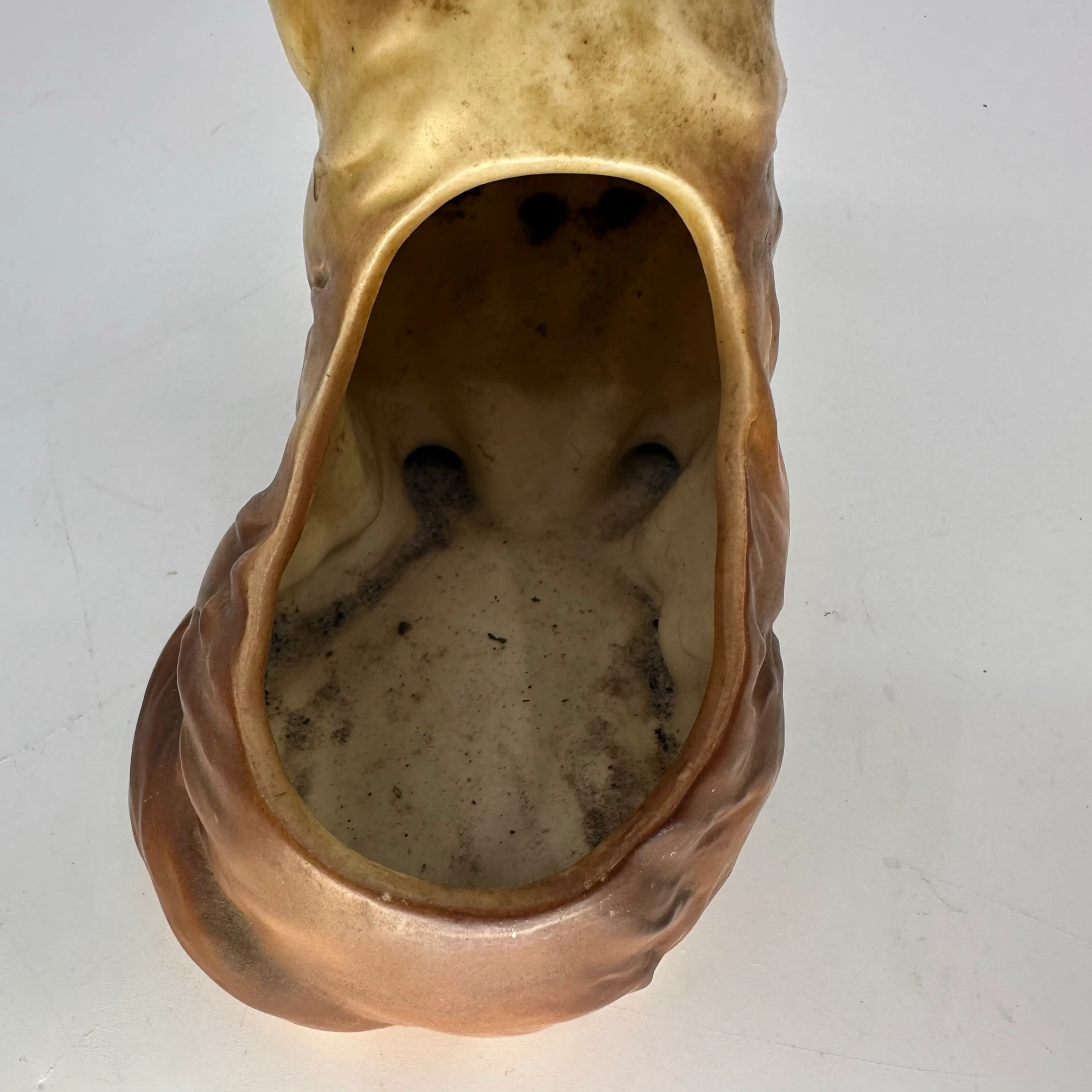 Image 4 of 5