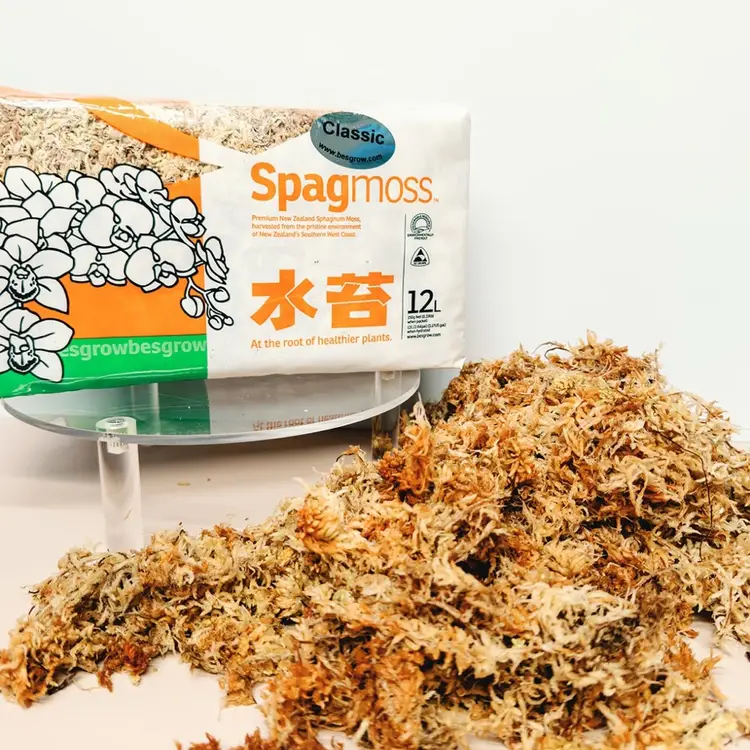 Besgrow Classic Sphagnum Moss 150g