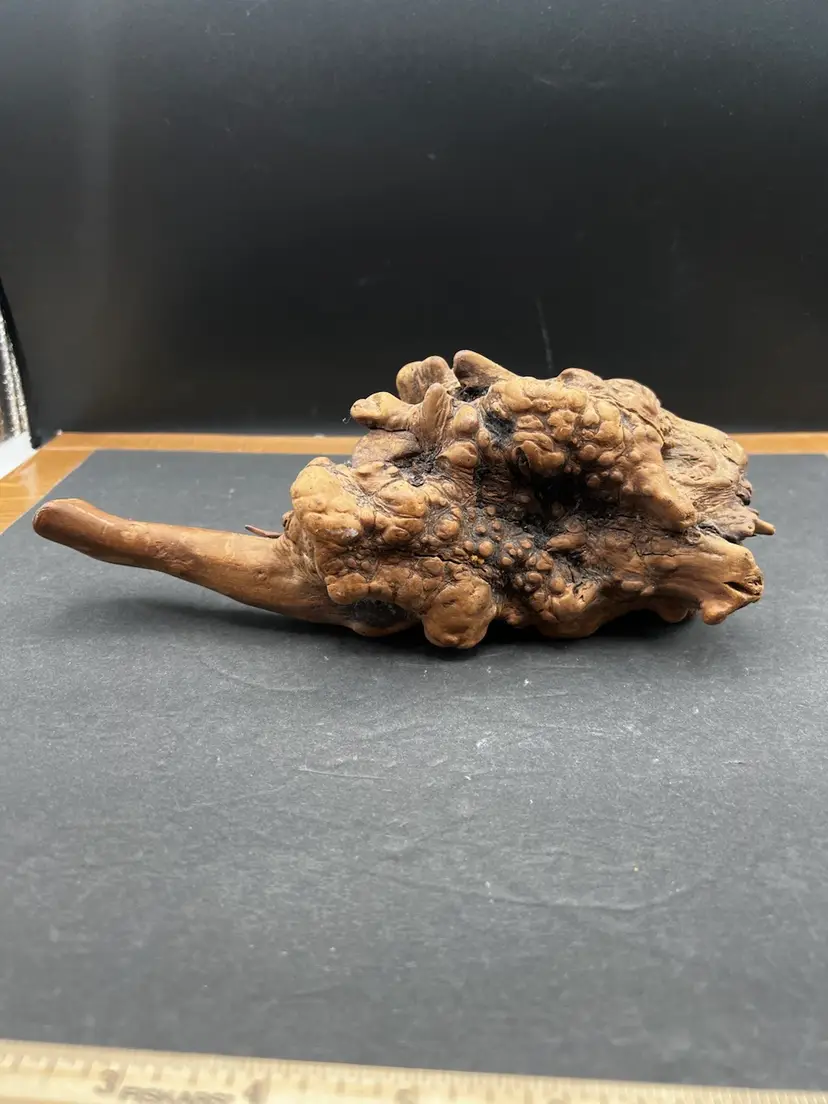 #1091B Natural Wood Burl