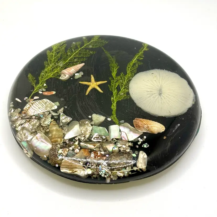 Vintage Black Lucite Sand Dollar Sea Star Shells Trivet Hot Plate 5.5”