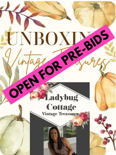 PREBID & UNBOX with LADYBUG COTTAGE 🐞