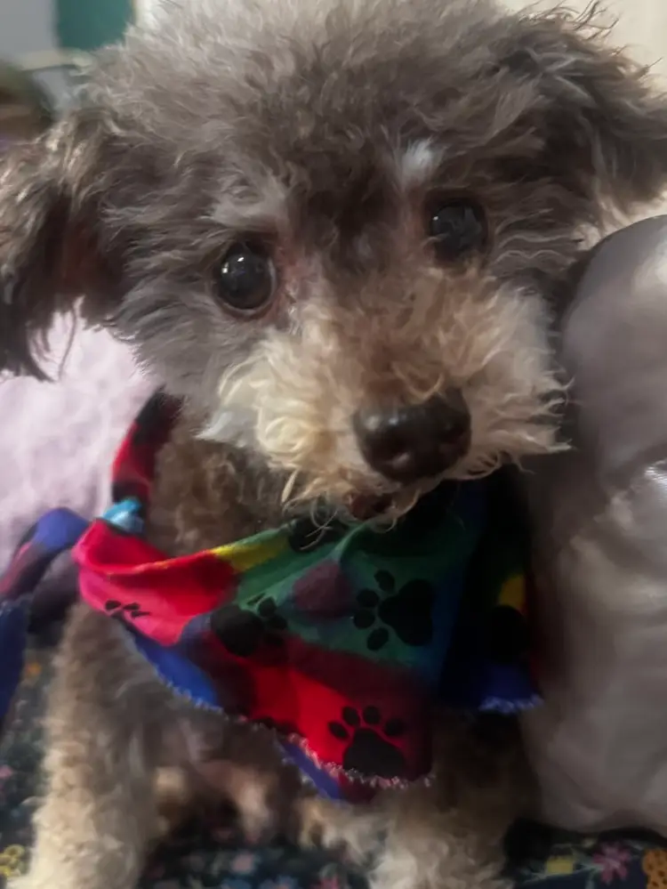 Morning With Maci & Cait 🩷✨👯‍♀️