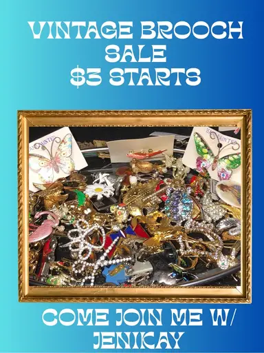 Vintage Brooches With Jenikay Co-host Coolnstuff