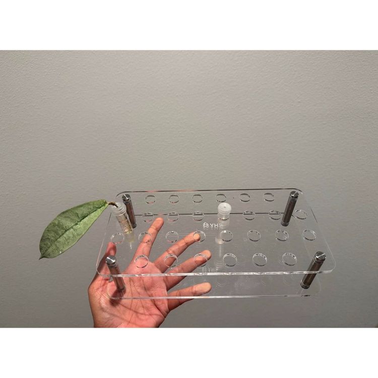 Propagation Station Acrylic