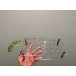 Propagation Station Acrylic