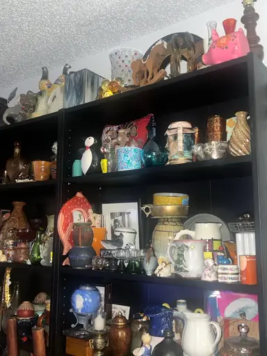 SHOP MY FLORIDA SHELVES!