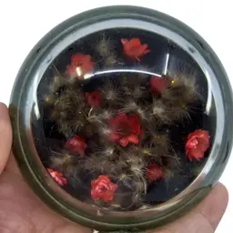 Paperweight W/ Dried Flowers Art Glass Dome 3”