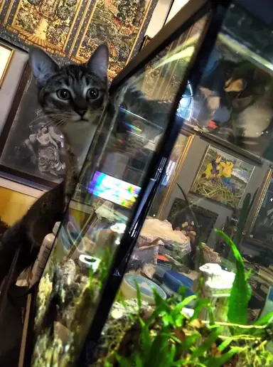 Tuesday Night New Finds Unboxing And Jewelry Show With Vintiquity!